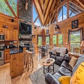 Away in the Mountains' cozy living area