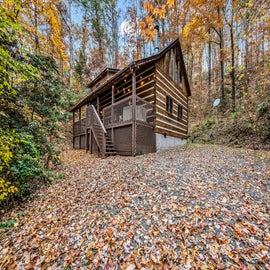 Downwards angle of bearadise cabin with driveway