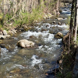 stream near Lewis Clabo