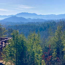 Views from Bear View Cabin's relaxing decks