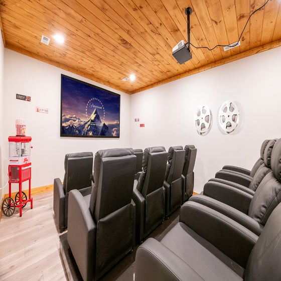 Forever Green's theater room