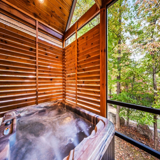 Goldilocks Lodge's private hot tub