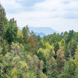 View from Smokey's Summit's relaxing deck