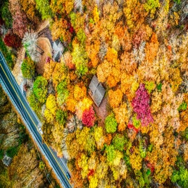 Bird's eye view of Bearly Livin' Cabin