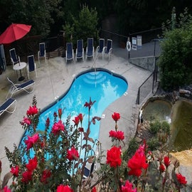 Hoot Owl Haven's inviting resort pool