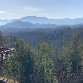 Bear View Cabin's mountain views