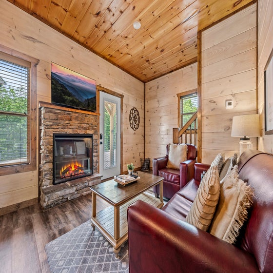 Bear Family Cabin's cozy living area