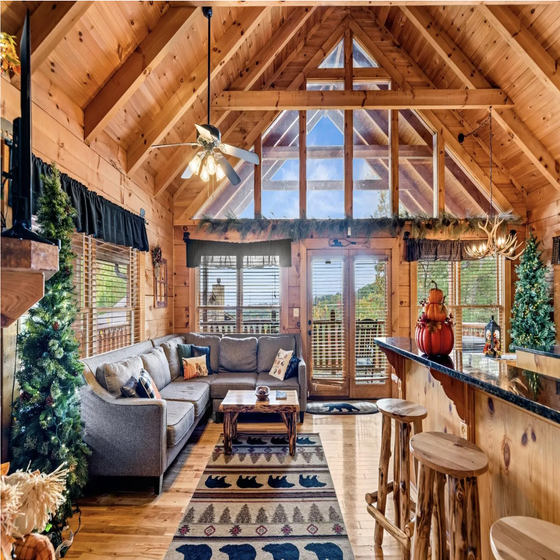 Bear View Cabin's cozy living area